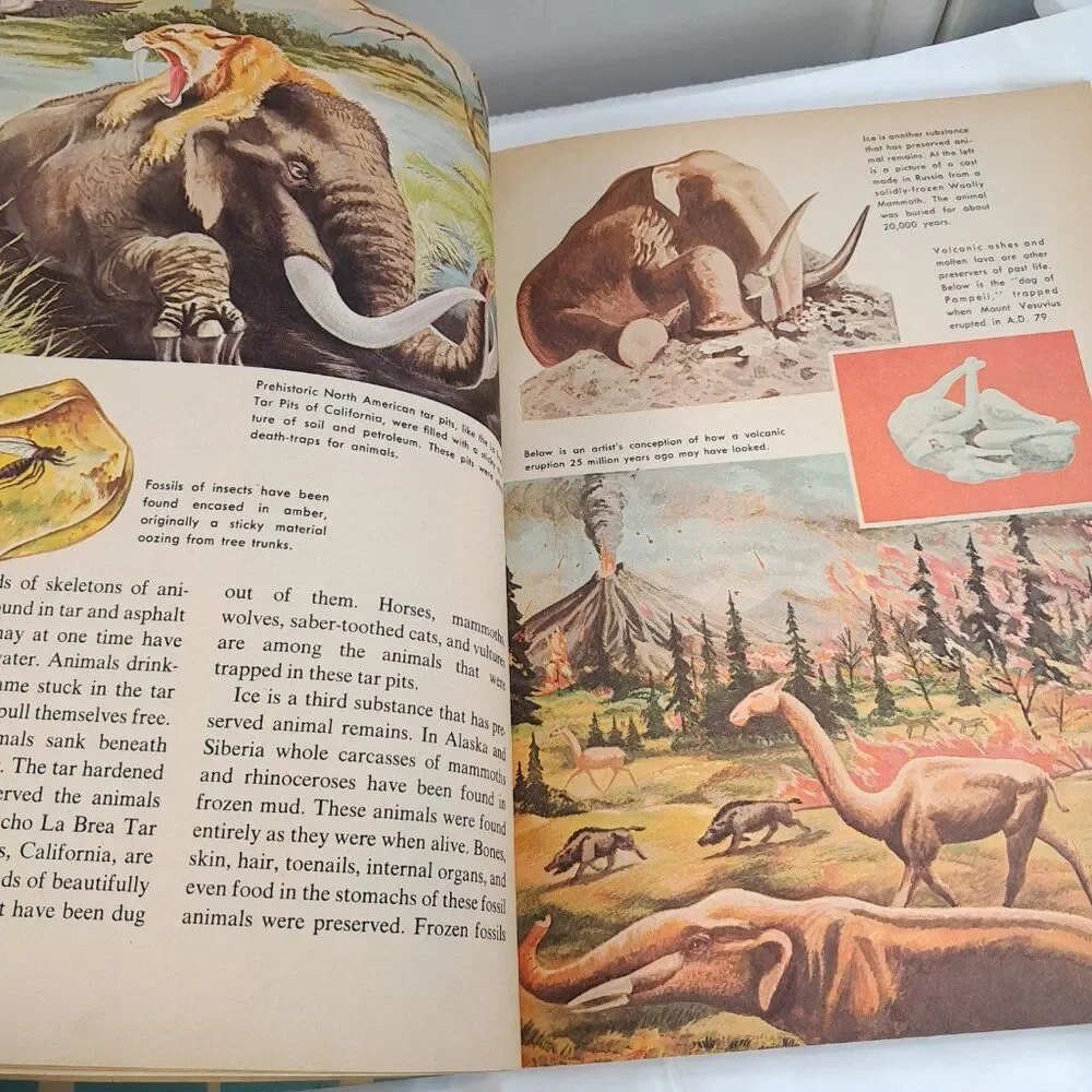 Vintage The How & Why Wonder‎ Book Of Prehistoric Mammals kids 1972 animals pics